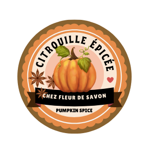 Bath Macaron - Pumpkin Spice