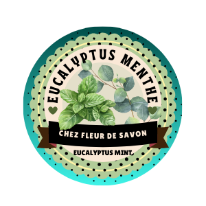 Macaron de Bain - Eucalyptus • Menthe
