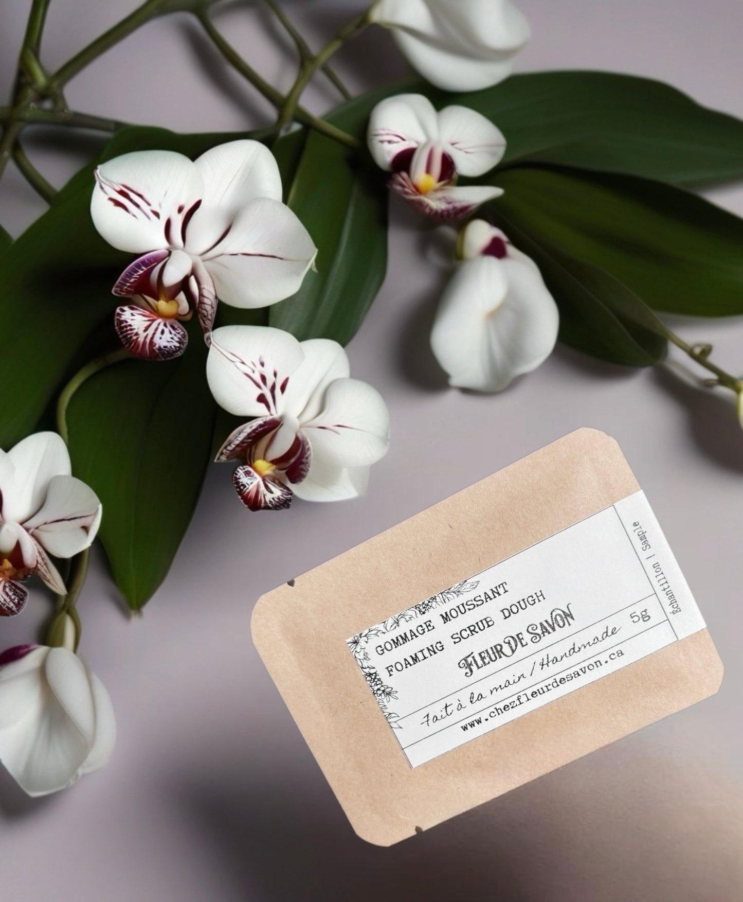 Échantillon Surprise • Gratuit