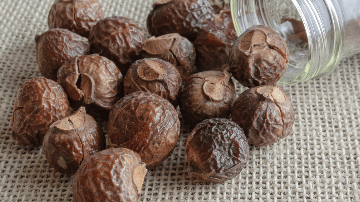 Baies de Shépherdies