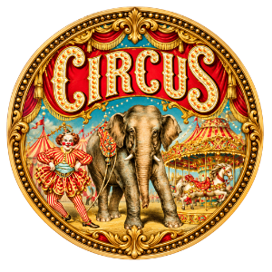 Circus