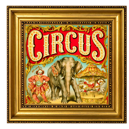Circus