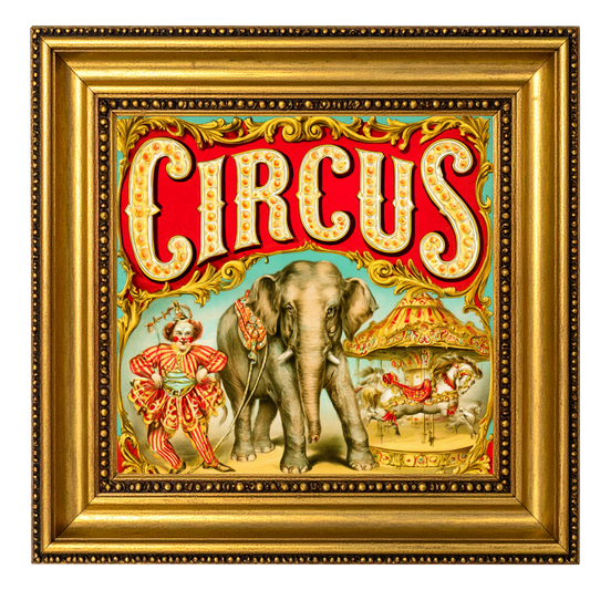 Circus