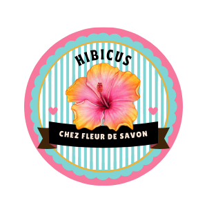 Bath Macaron -  Hibiscus