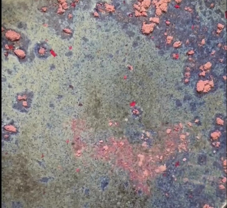 Lait de Bain Caméléon