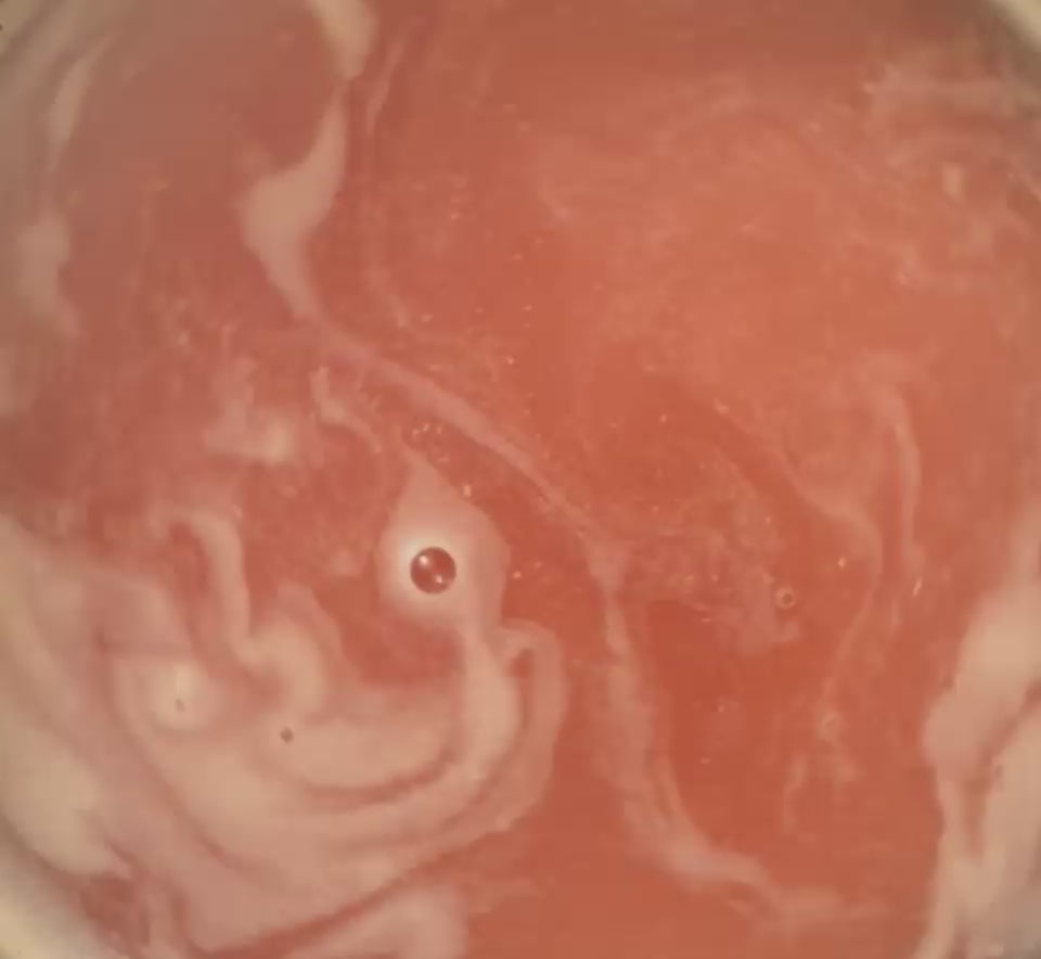 Lait de Bain Rose des Dunes