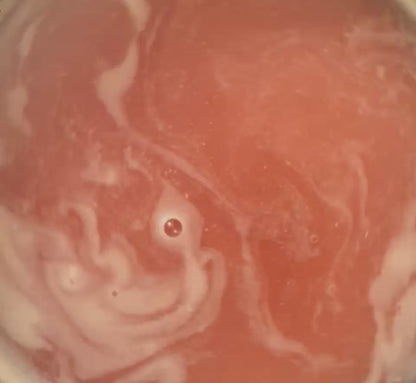 Desert Rose Bath Milk